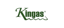 Kingas