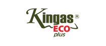 Kingas eco